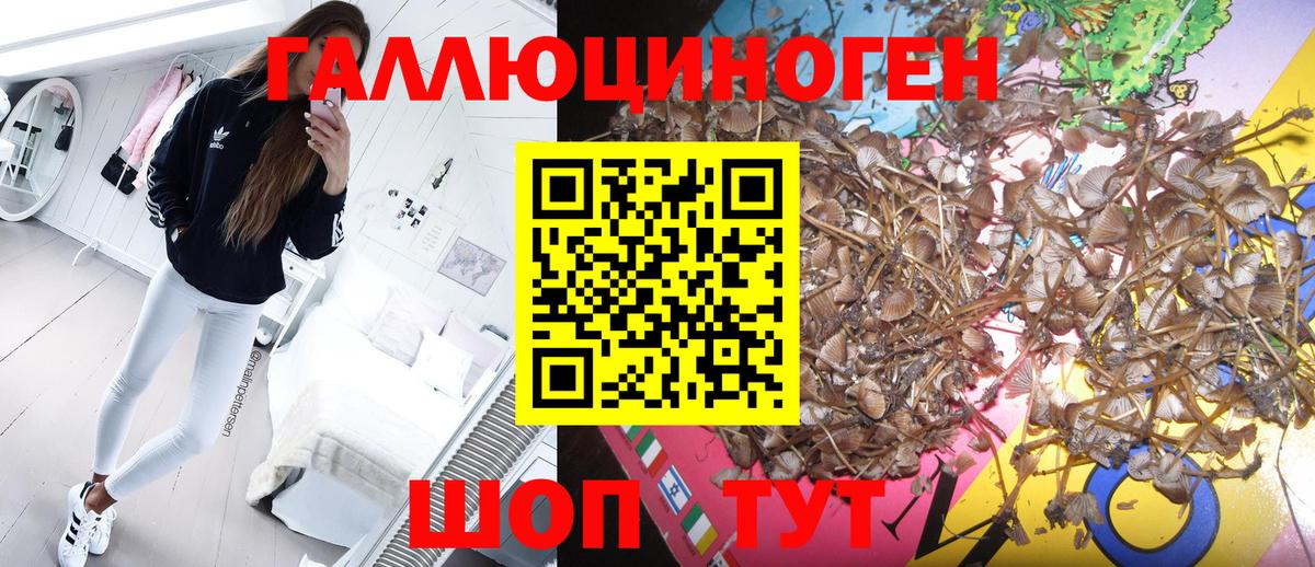 Псилоцибиновые грибы мицелий  Вход с VPN  Урай 